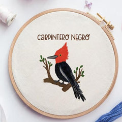 Tienda Crea Tu Arte - Birds Embroidery Kit