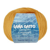 Lana Gatto Cashcot Bio