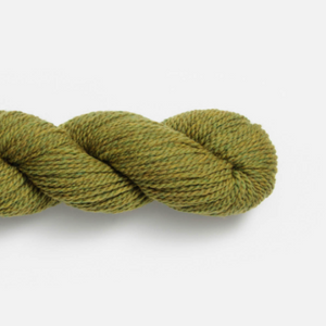 Earth Ivy (1309)