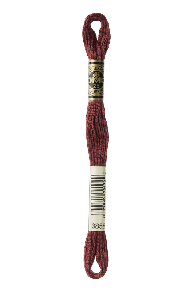 DMC Cotton Embroidery Floss Brown
