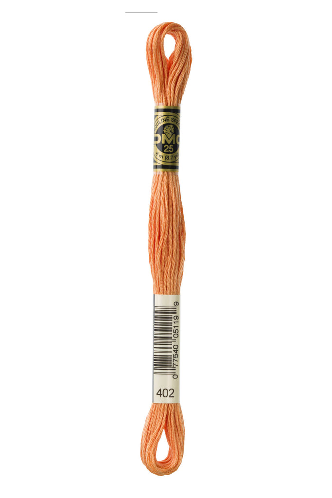 DMC Cotton Embroidery Floss Brown