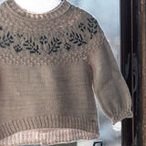 Little Dream  Sweater Kit