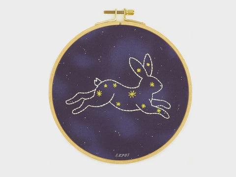 Hoop Art Embroidery Kit - Lepus