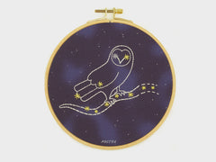 Hoop Art Embroidery Kit - Noctua