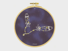 Hoop Art Embroidery Kit - Pisces