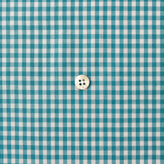 Check & Stripe Gingham Check - Turquoise
