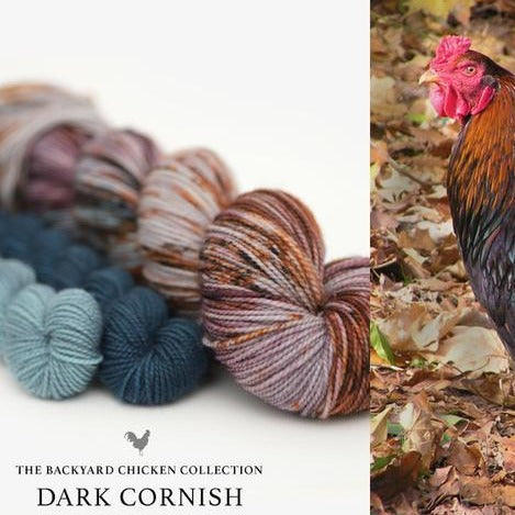 Hue Loco Dark Cornish Rooster