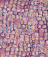 Morris A Torrington Silk Crepe de Chine