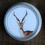 Forest Friends Mini Tins