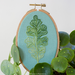 Flowers & Illustrations - Oak Leaf