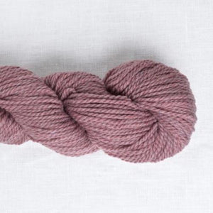Lilac Bloom (1325)